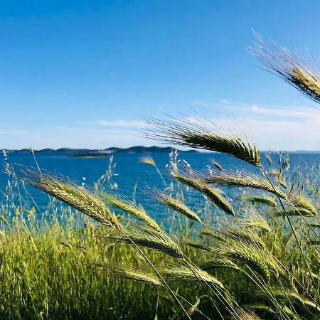 Villa Ecobeachvilla Buqez 9 Pakoštane