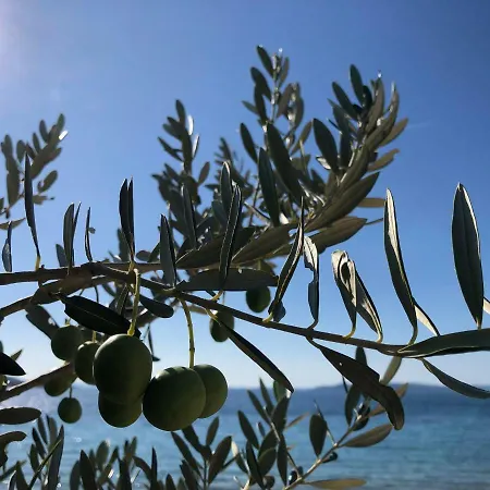 Villa Ecobeachvilla Buqez 9 *