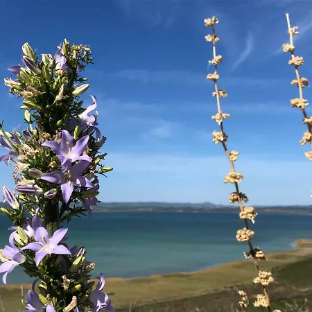 Villa Ecobeachvilla Buqez 9 Pakoštane