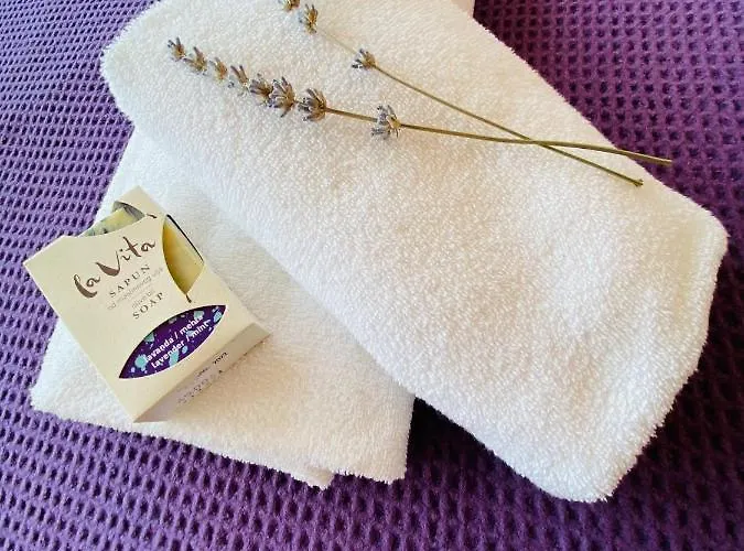 Ecobeachvilla Buqez 9 * Pakoštane