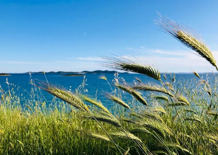 Willa Ecobeachvilla Buqez 9 Pakoštane