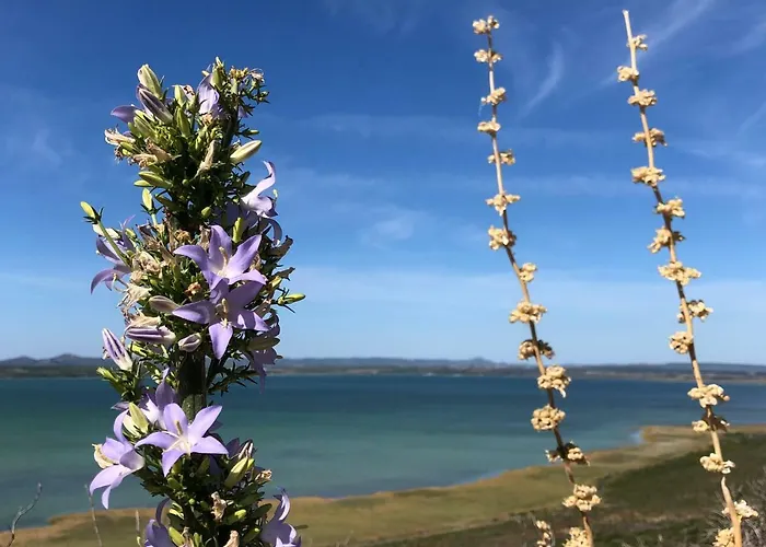 Vila Ecobeachvilla Buqez 9 Pakostane